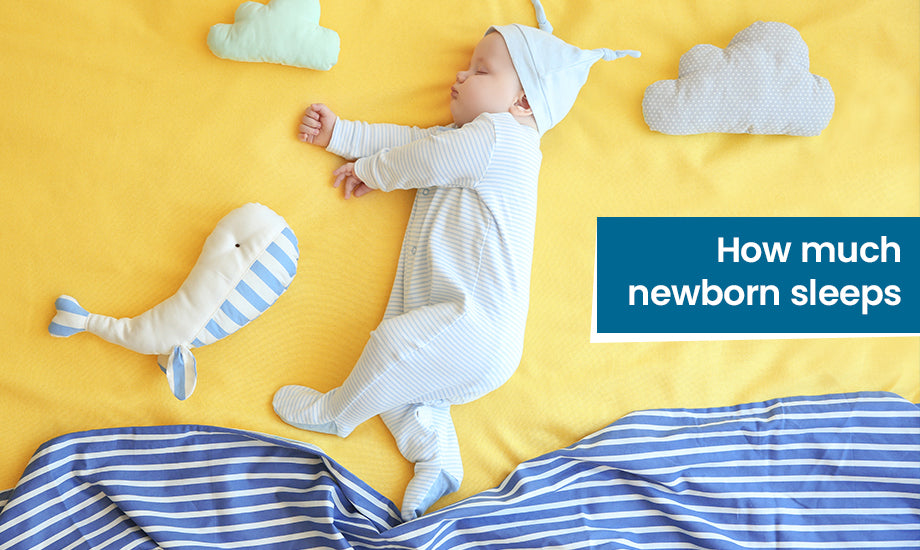 how-much-should-a-newborn-sleep