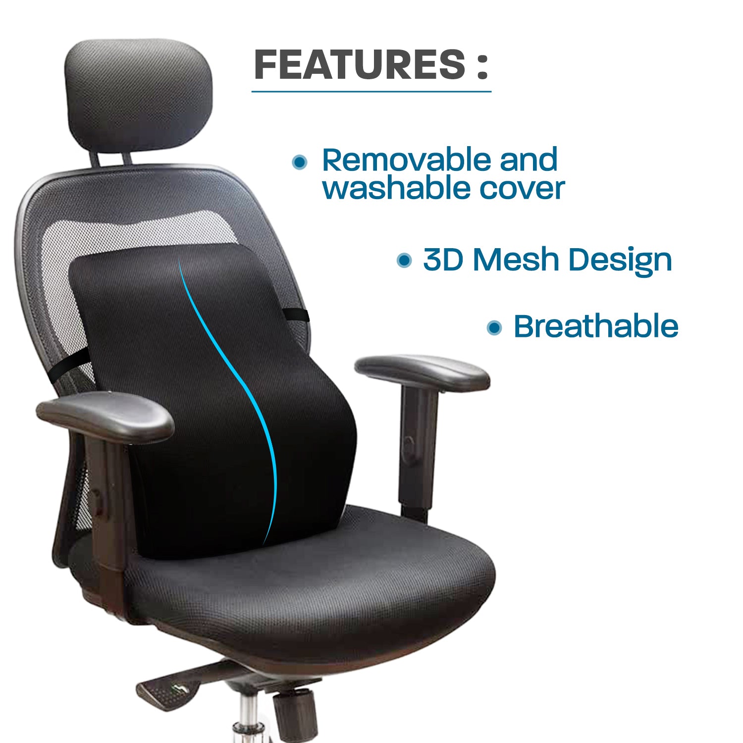 Ergo21 Comfortable Lumbar Support Pillow for Office Chair